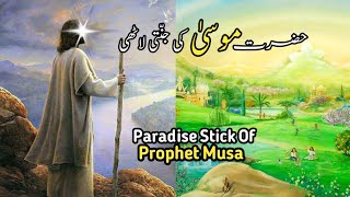 Hazrat Musa Ka Waqia Hazrat Musa Ki Lathi  life Of Prophet Musa  Wisdom Of Hafiz Saad [upl. by Girard]