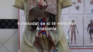 4 metodat se si te mesohet Anatomia [upl. by Chapin]