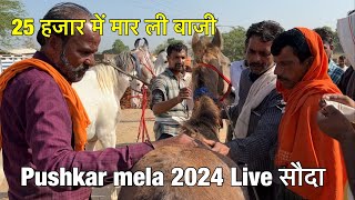 गाड़ी का भाड़ा देना है 25 हजार ही दे भाई  pushkar mela 2024 live souda  Pushkar mela update [upl. by Rockey]