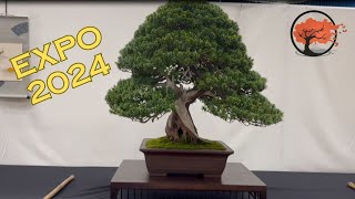 Expo 2024 Bonsai Show [upl. by Jona776]