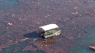 Bosnian volunteers clean up Lake Jablanica after devastating floods [upl. by Nanyt]