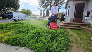 OVERGROWN Lawn INFESTED With Clover Gets A Satisfying CLEANUP [upl. by Meerak]