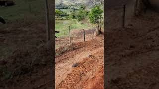 Caminhão ao extremo 4x4 F4000🚚 do tomates 🍅CAM botando respeito💪em São José de Ubá [upl. by Olyhs785]