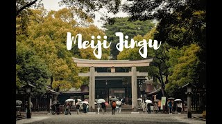 Tokyo  Meiji Jingu [upl. by Canice]