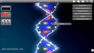 Interactive 3D DNA [upl. by Pazice]