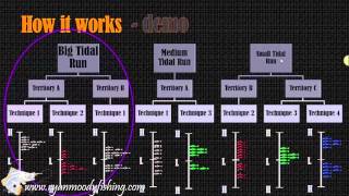 Tides and Times to catch barramundi with barra basics course [upl. by Anayk]