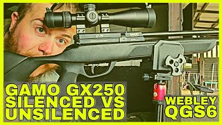 Gamo GX250 beforeafter Webley QGS6 SilencerModerator [upl. by Pul]