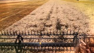 Case IH AF 9230 wheat harvesting record 2014 [upl. by Feldstein]