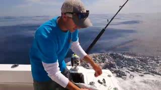 How to rig a skip bait for Marlin  quick and easy [upl. by Persons]