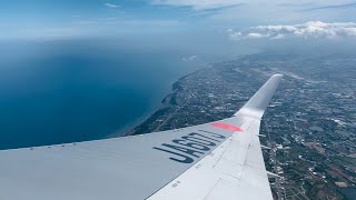 經濟艙日航JL802 桃園TPE成田NRT 767300 機翼旁第一視角沒有哈根達斯冰淇淋，東西還是很好吃 [upl. by Odnala]