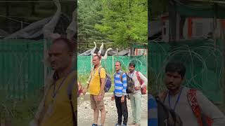 amarnath yatra pahalgam baltal Route viral [upl. by Decato]