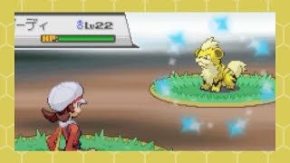 Shiny Growlithe after 9276 REs in HeartGold SBQ 6 [upl. by Neened506]