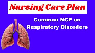 nursing care plan for respiratory disorder  ncp on lungs diseases  nursing care plan [upl. by Lyndell]