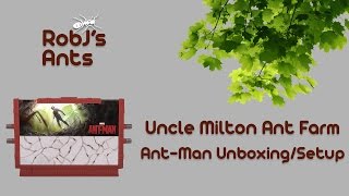 Uncle Milton AntMan Ant Farm Unboxing and SetUp 4k [upl. by Benjamen]