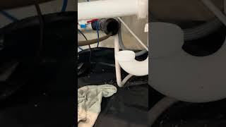 Kitchen drain snake draincleaning likeandsubscribe plumbingservices plumbing milwaukeem12 [upl. by Howard]