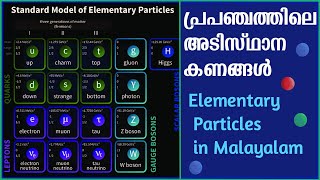 പ്രപഞ്ചത്തിലെ അടിസ്ഥാനകണങ്ങൾ  Elementary Particles Explained in Malayalam  Standard Model [upl. by Nalo76]