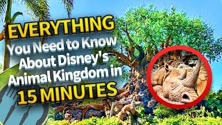 Everything You Need to Know About Disneys Animal Kingdom in 15 Minutes [upl. by Ribal]