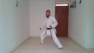 Kata Hyakuhachiho Suparinpei Shotokan [upl. by Kanor820]