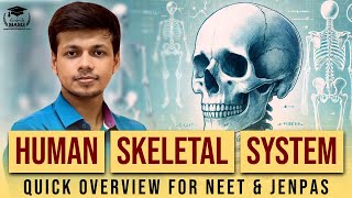 Human Skeletal System  Quick Overview for NEET amp JENPAS  Mams [upl. by Rj]