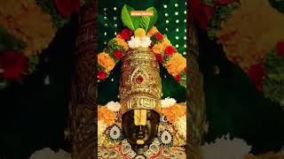 Om Namo Venkatesa 🙏🙏🙏🚩tirupatibalaji tirumalatirupati venkateswara venkateswaraswamy reels [upl. by Ahras515]