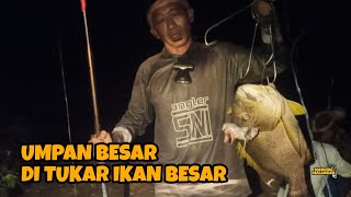 DI SPOT INI RATUSAN IKAN KAKAP MERAH NAIK DI MUSIM KEMARAU  MM Eps 193 [upl. by Beauchamp324]