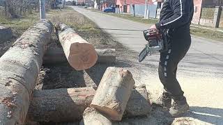 Simple and easy with a light chainsaw Stihl ms261 CM MUFFLER MOD 50CC [upl. by Nnylsaj702]