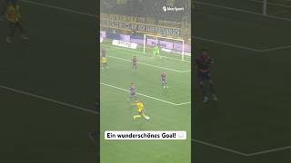 Zaubertor ins falsche Netz Basel mit Eigentor für die YB 🥴⚽️ [upl. by Neoma]