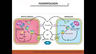 HIPERTENSIÓN ARTERIAL SISTEMICA CON EL DR CARLOS ANTONIO ÁLVAREZ RALDA [upl. by Pieter]