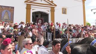 Presentación en Villamanrique Hermandad del Rocío de El Viso del Alcor 2024 [upl. by Siduhey]