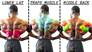 TOP 5 LAT MIDDLE BACK TRAPS WORKOUT WITH DUMBBELLS CABLE AND MACHINE AT GYM [upl. by Lauralee]