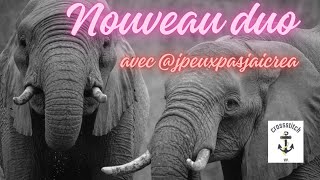 Je commence une nouvelle toile en duo avec jpeuxpasjaicrea 🥰 🐘 11ct vipcrossstitch [upl. by Oettam]