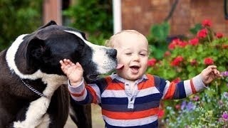 Große Hunde lieben Babys Compilation April 2014 NEU HD [upl. by Jew187]