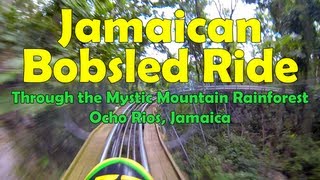 Jamaican Bobsled Adventure in Ocho Rios Jamaica [upl. by Enirok979]