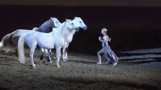 Liberty with 3 horses  Sylvia Zerbini  Night of the Horse 2016  Del Mar National Horse Show [upl. by Bettine]