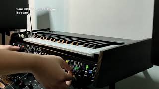 miniKORG 700FS Demo 2 [upl. by Mathi]