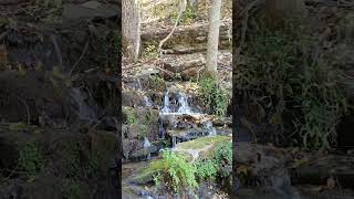 Woods and water Dogwood canyon Missouri [upl. by Ydroj743]