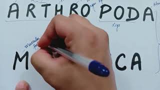 Easy way to learn basic characteristics Arthropoda and Mollusca NEET [upl. by Silber773]