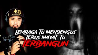 Lembaga Tu Mendengus Mayat Tu Terus Nak Terbangun [upl. by Shutz]