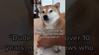 Doge Then and Now😃 shorts memes [upl. by Blondie]