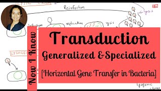 Bacterial Transduction Generalized amp Specialized – Horizontal Gene Transfer Part – III [upl. by Brindle]