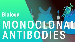 Monoclonal Antibodies  Health  Biology  FuseSchool [upl. by Shayla]