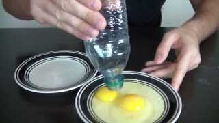 10 Amazing Science Experiments you can do with Eggs [upl. by Weathers]