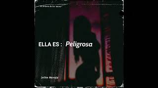 Peligrosa  Julito navaja official lyric [upl. by Nhguaval735]