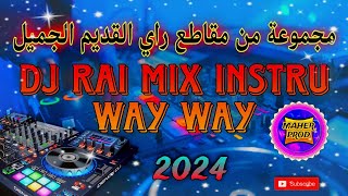 رايراي هبال  dj rai Mix jdid 2024 [upl. by Alaehcim]