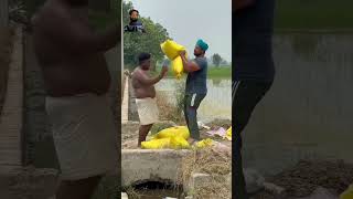 sada Punjabi sher gabroo zamindar farmerjatt punjabi [upl. by Yznel466]