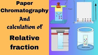 Chromatography and determination of Relative fraction value Biochemistry practical exam [upl. by Einhpets]