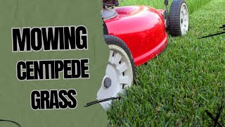 Caring For Centipede Grass Mowing Tips [upl. by Enattirb]