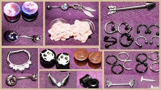 PIERCING HAUL  Tunnel Plugs Piercings für Septum Snakebites etc [upl. by Yeldahc]