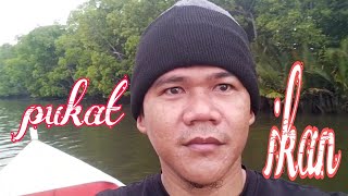 Memukat ikan di sungai [upl. by Ennovy471]