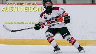 Austin Eison PeeWee AA Highlights 2324 Minnesota YouthHockeyHub sdphockey [upl. by Ekenna]